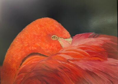 Grote vogelportretten